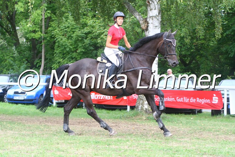 308M4787_Punkte Mxx.JPG